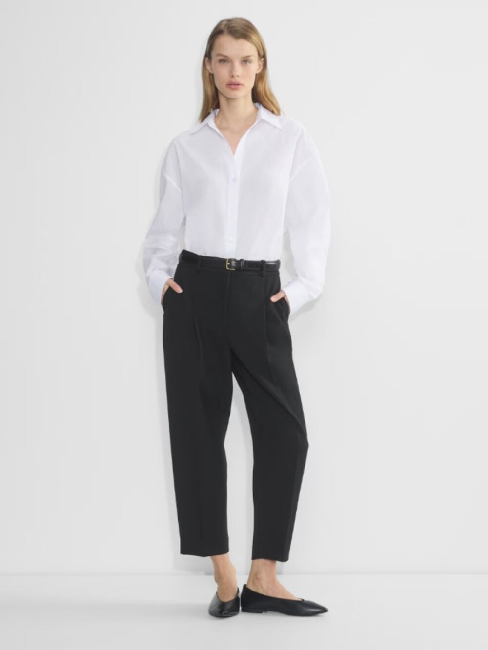 Aritzia Babaton Prospect Pant